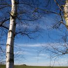 Mal endlich wieder blauer Himmel