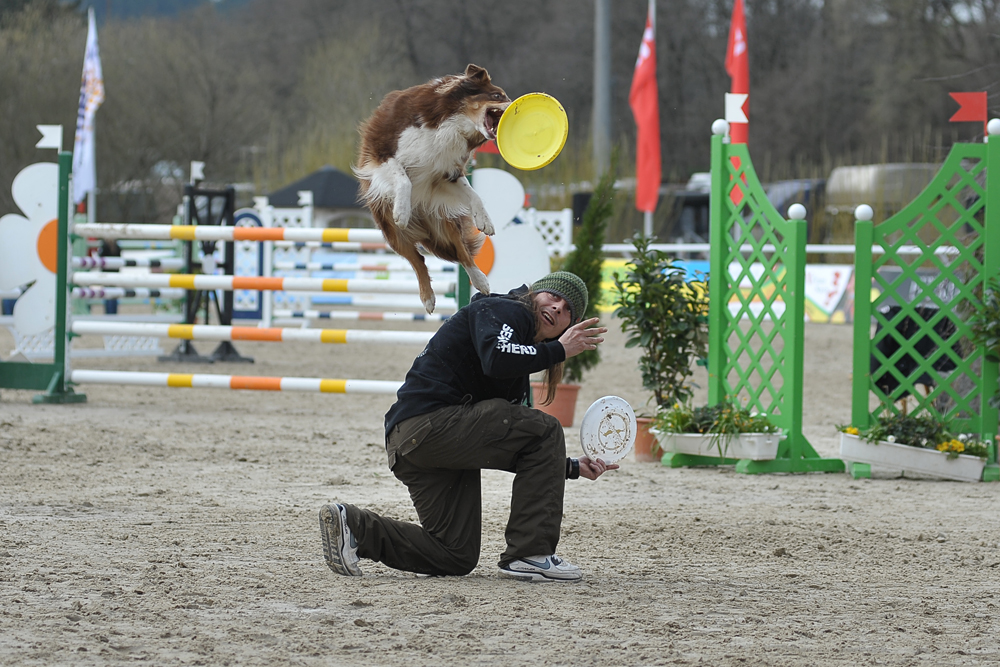 Mal etwas anderes von einem Reitturnier