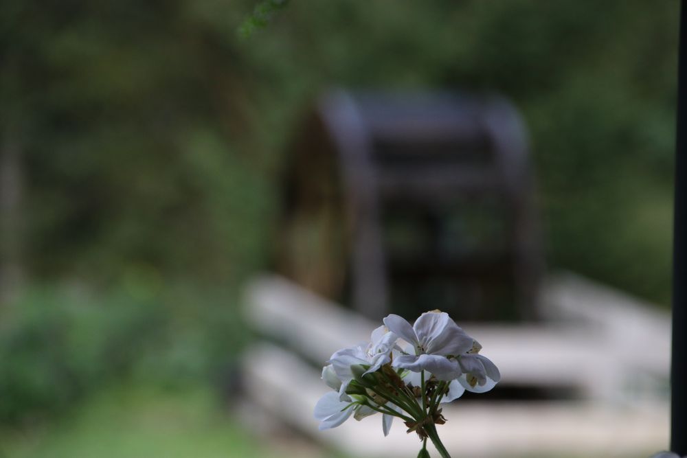 Mal etwas anders Foto &amp; Bild | motive Bilder auf fotocommunity