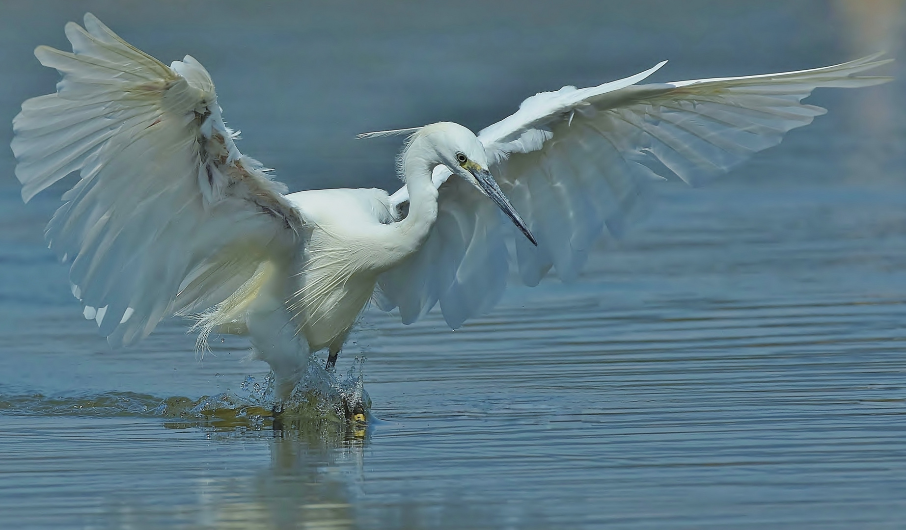 Mal etwas Bewegung ins Wasser bringen