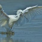 Mal etwas Bewegung ins Wasser bringen