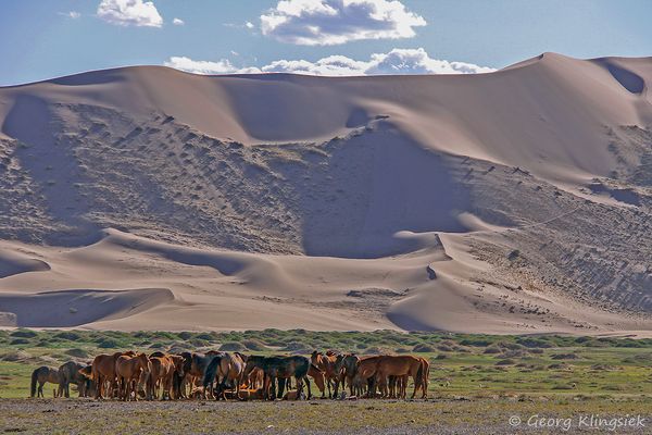 Mal etwas näher ran … 