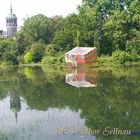 Mal etwas zu viel Wasser, auf de Wiese