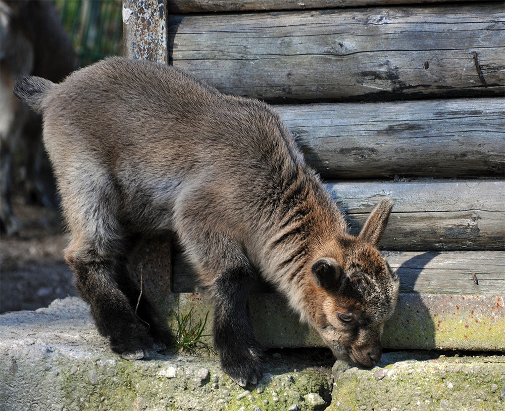 "Mal gucken was es da so gibt ..."