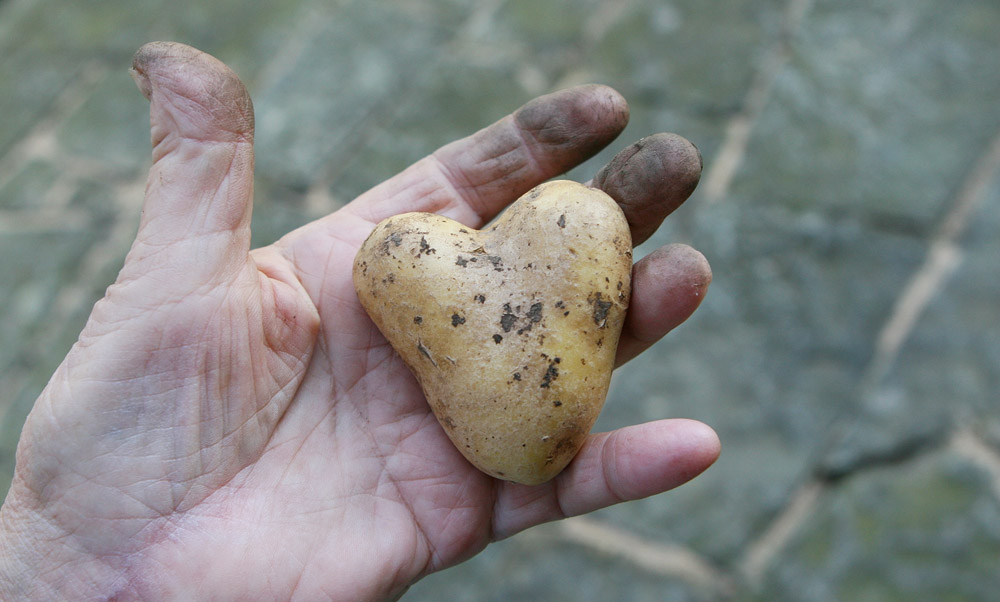 Mal Hand auf`s Herz...