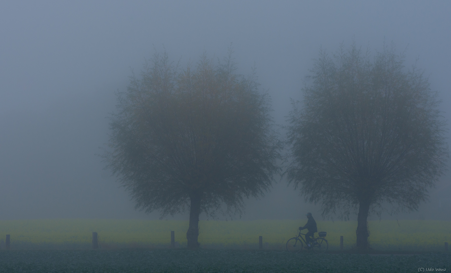 *mal im Nebel unterwegs*