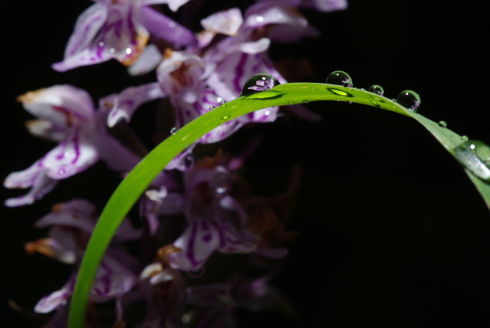 ... mal im Regen