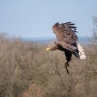 mal in der Luft hängen