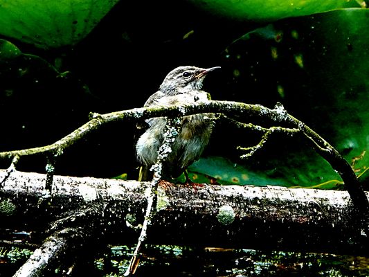 mal interessiert in der Gegend herum geschaut