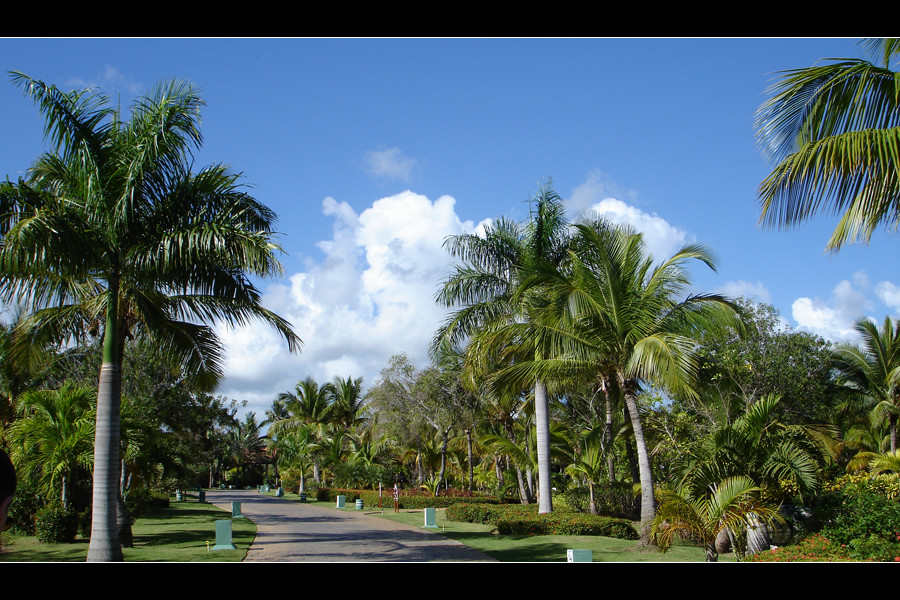 mal kurz in der DomRep