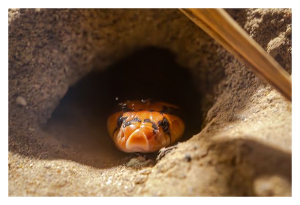 Mal kurz nach draußen schauen 