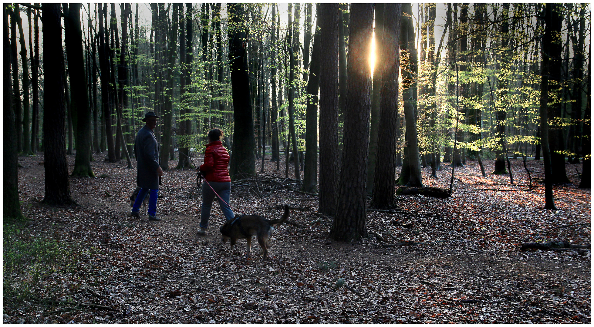  mal mit dem Hund raus 