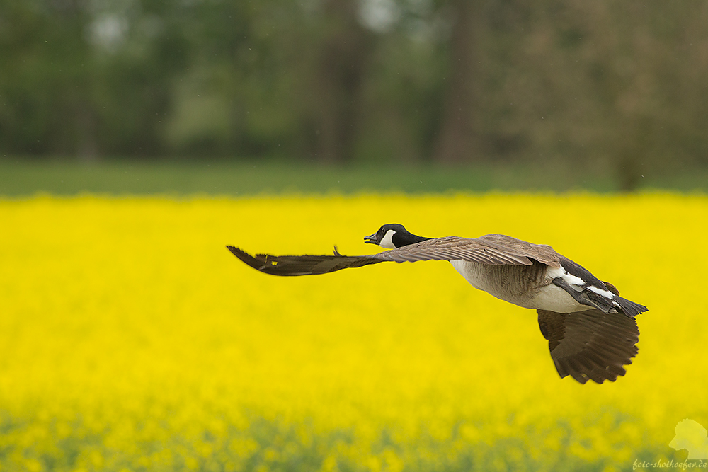 Mal ´n Abflug machen!