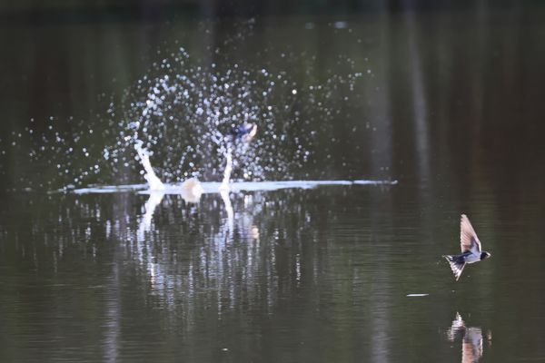 Mal nen Schluck nehmen