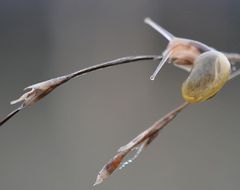 mal neugierig nach unten schauen