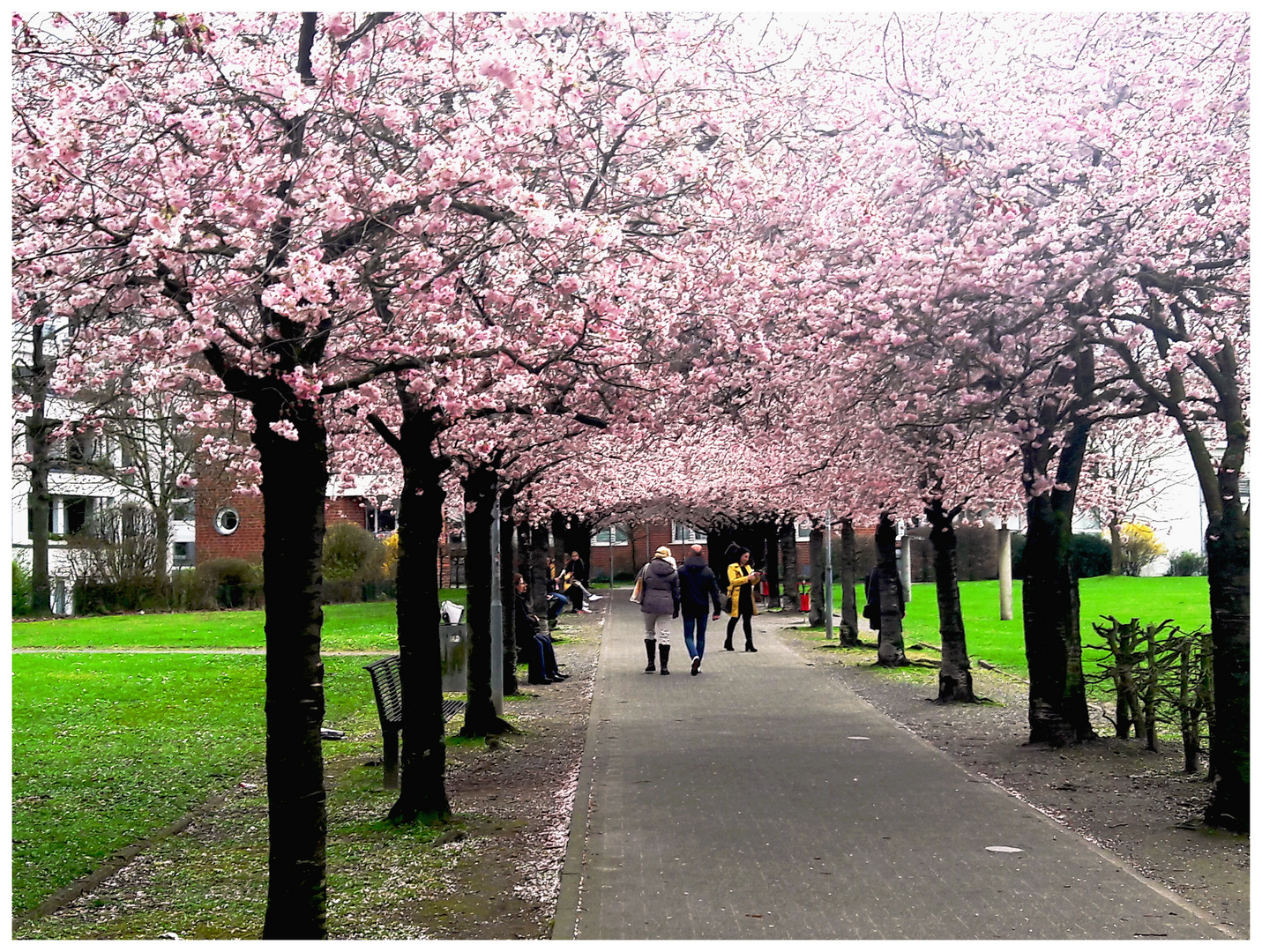 mal nicht in Bonn