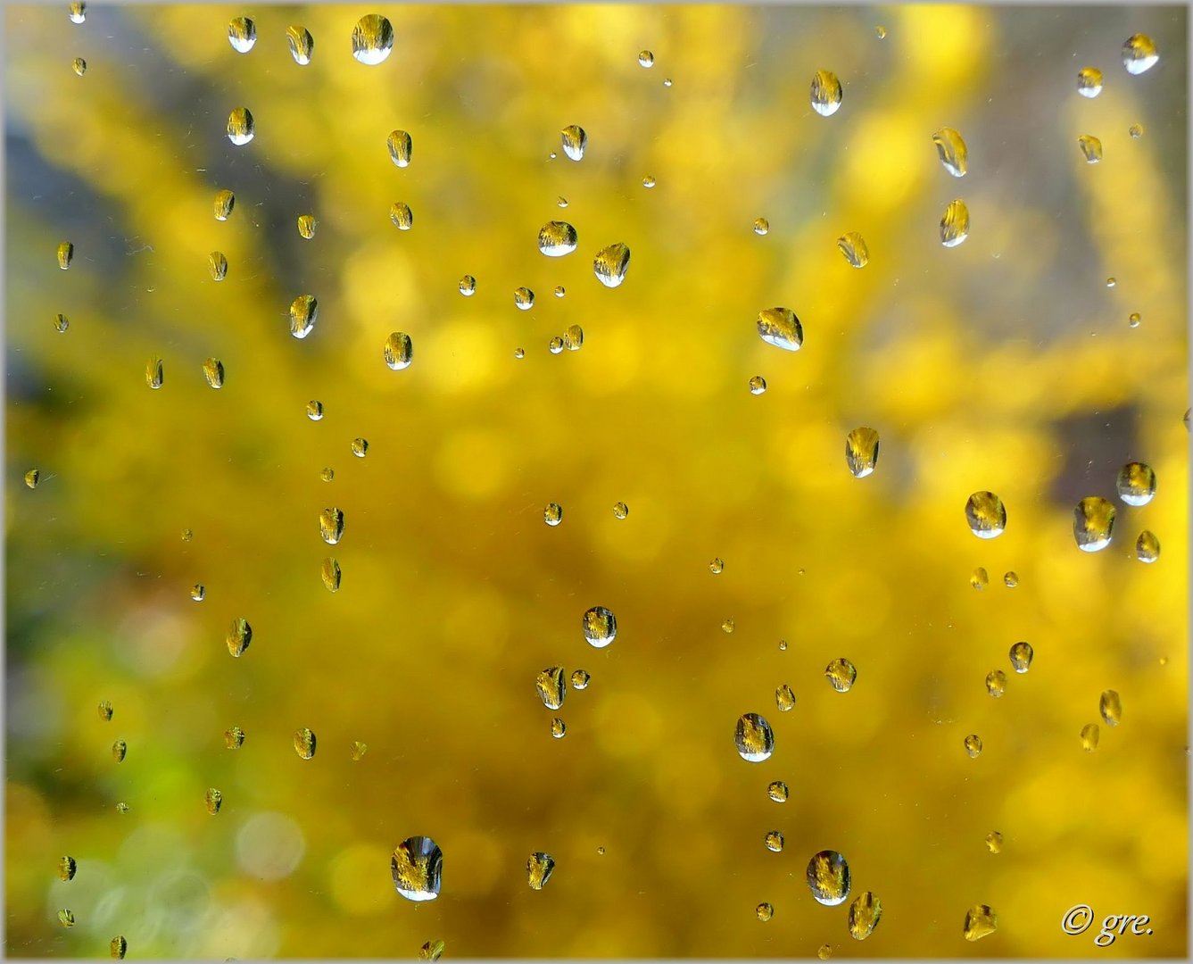 Mal Regen, mal Sonne gab es heute