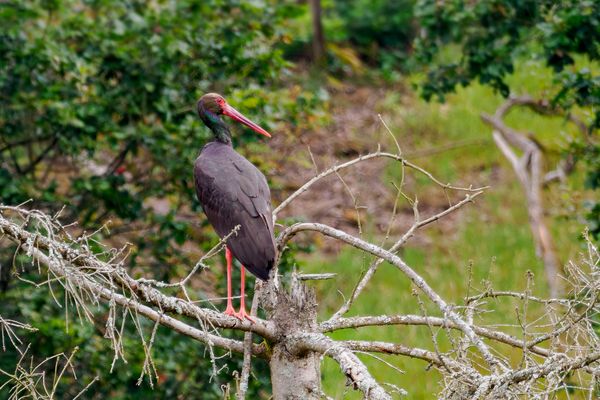 Mal schauen ob sich was tut