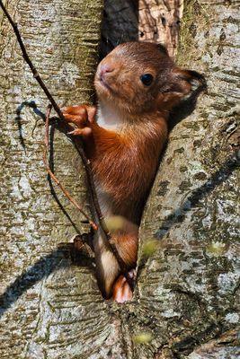 Mal schauen was draußen passiert