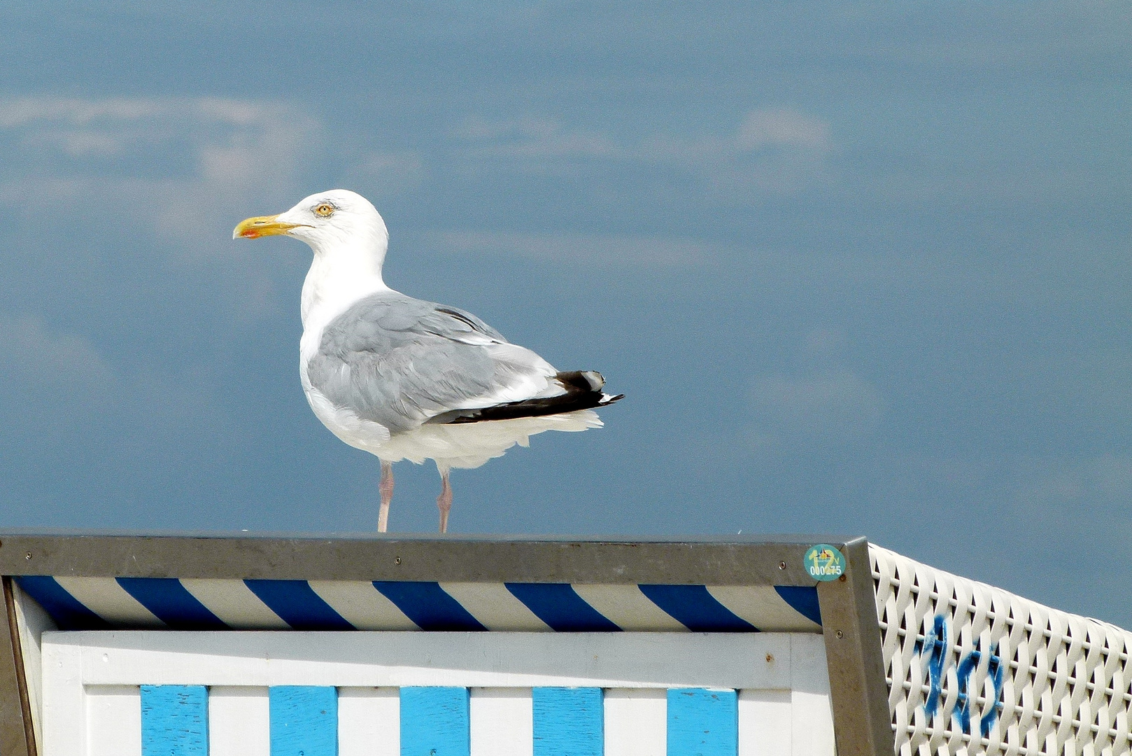 "Mal schauen wie das Wetter wird"