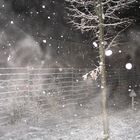 mal Schnee In Bonn ;)