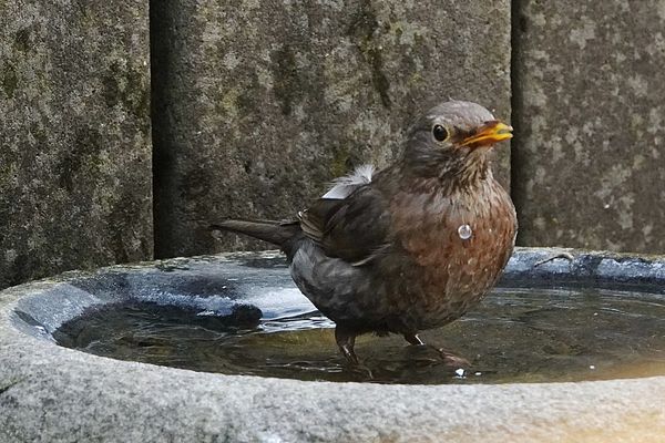 mal schnell die Füße baden