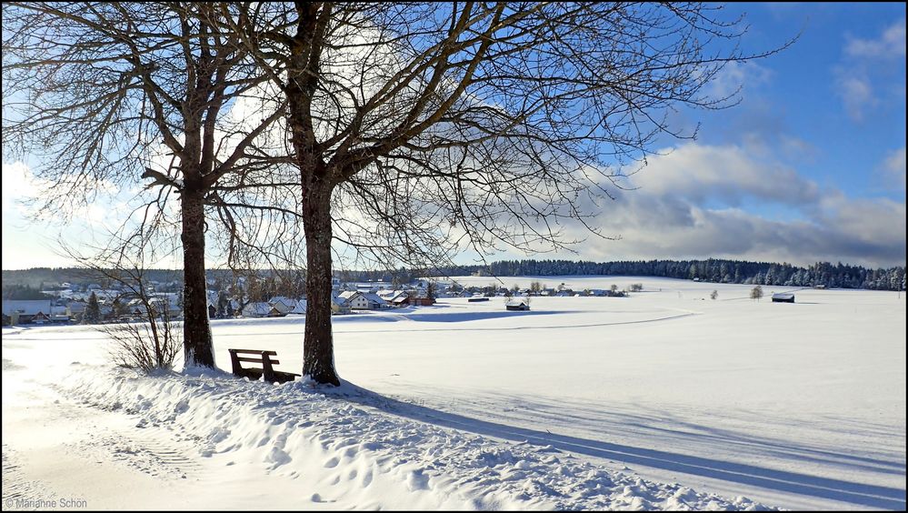 Mal sehen wenn das mit dem Schnee wieder los geht....