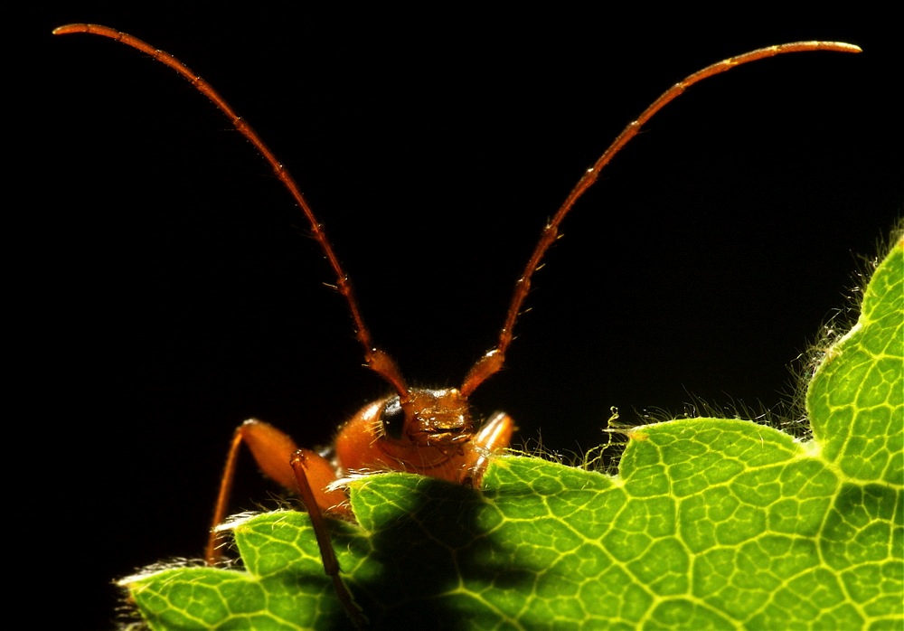 Mal über den eigenen Blattrand schauen