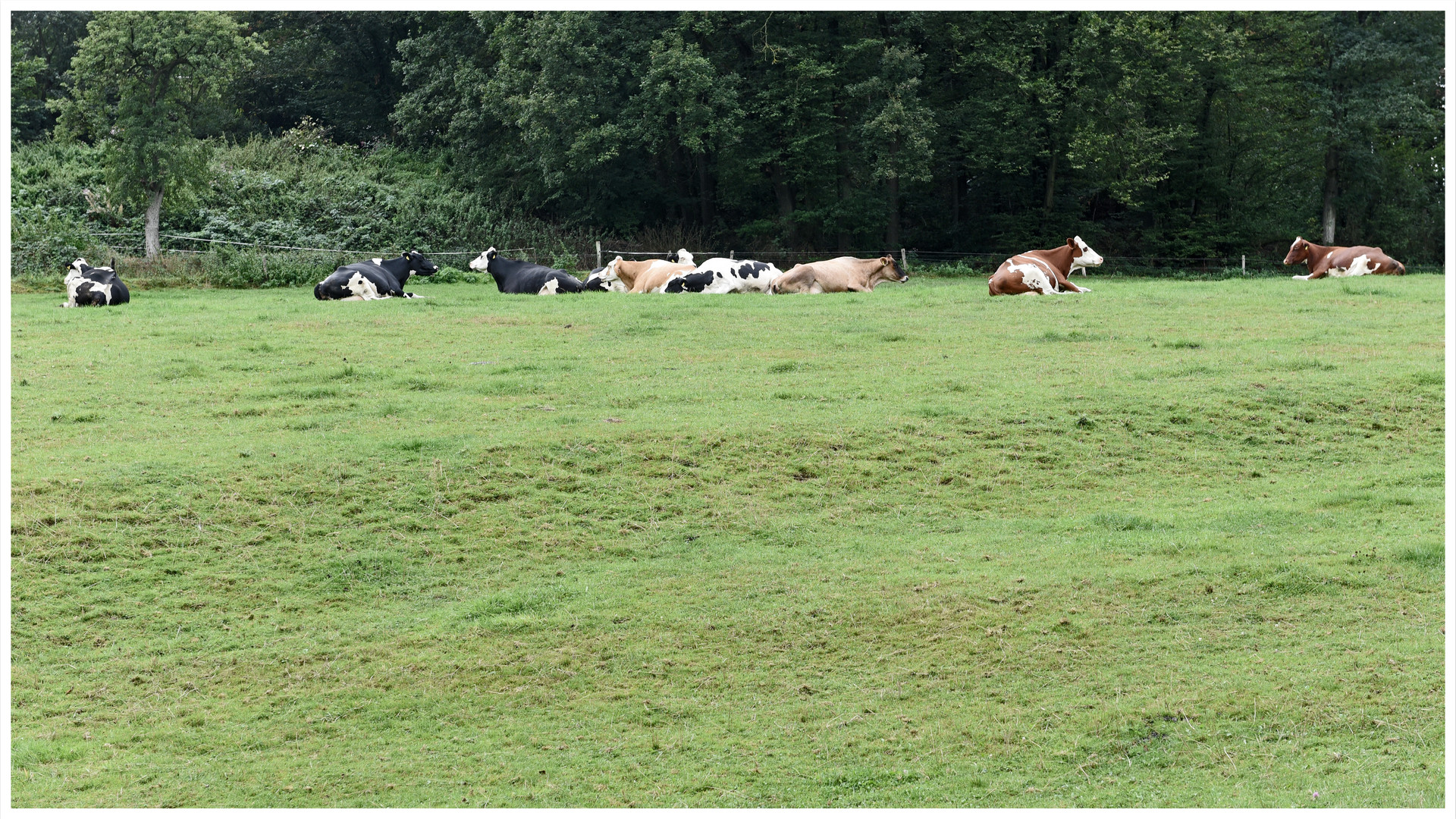 Mal über die Dörfer gefahren 5 - Landbewohner