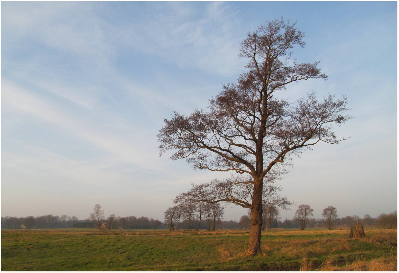 mal von der anderen Seite  fotografiert