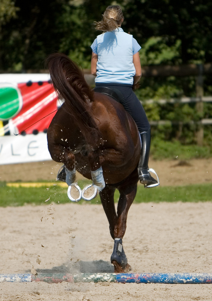 Mal von hinten