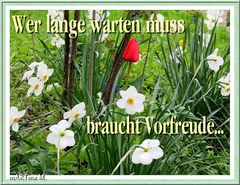 Mal vorgefreut  (mit Gedicht)