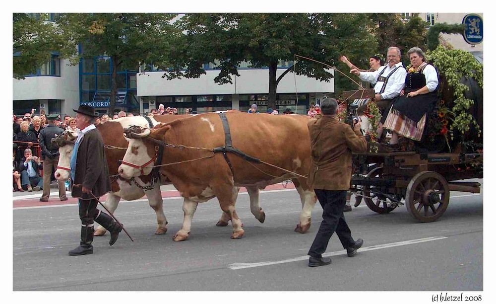 Mal was anderes...... Oktoberfesteinzug 2008