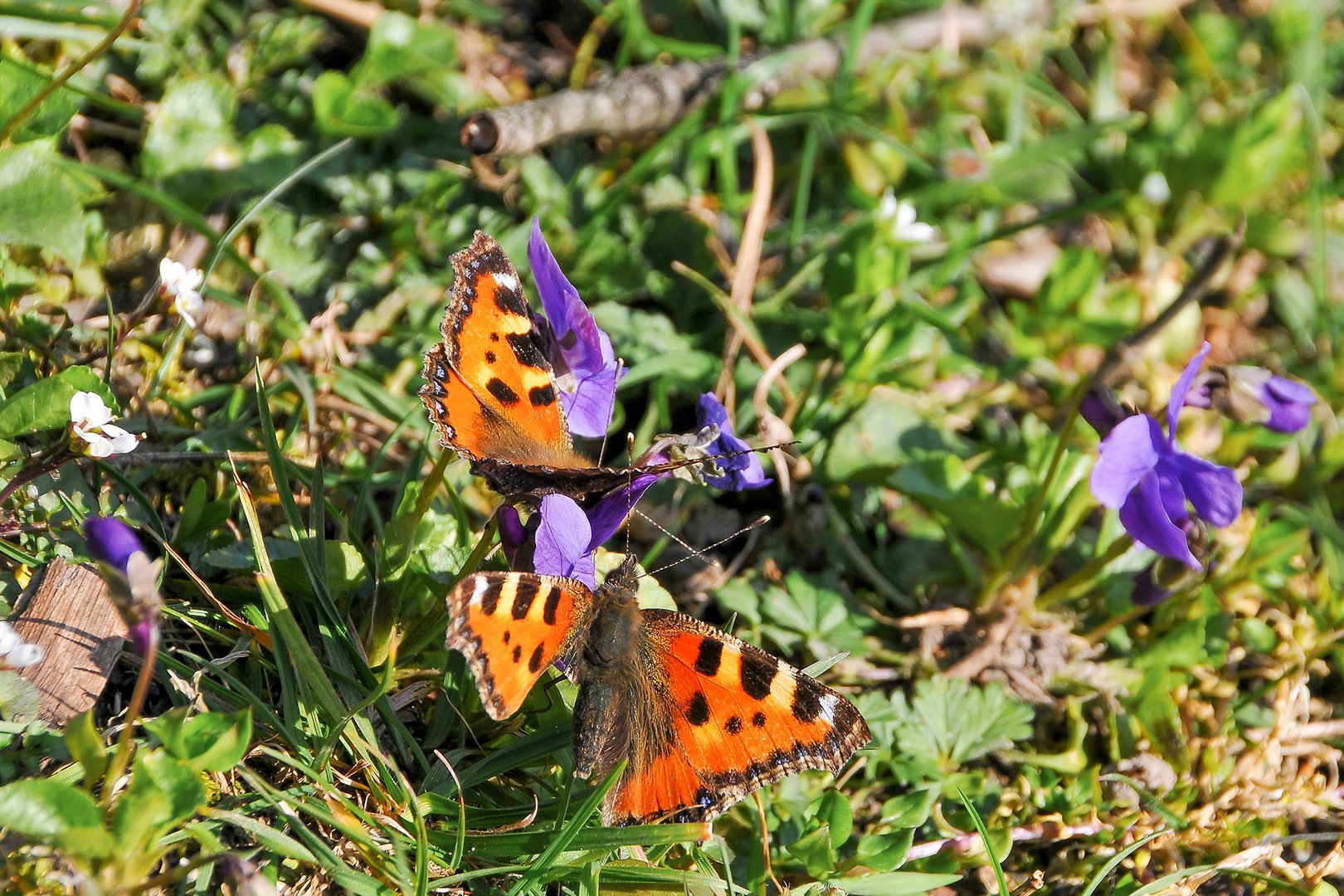 Mal was buntes im grauen Herbst