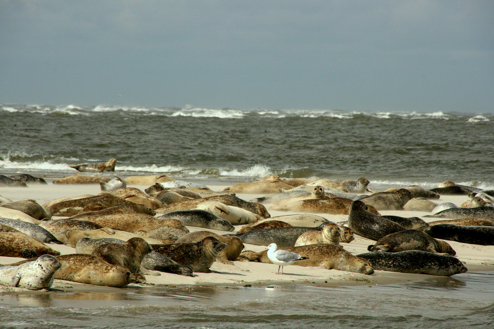 Mal was von der Nordsee