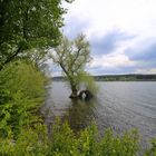 Mal wieder am Möhnesee