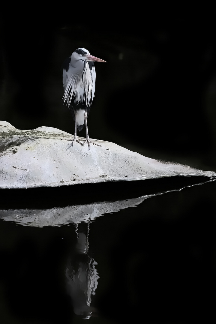 mal wieder auf Fototour im Zoo