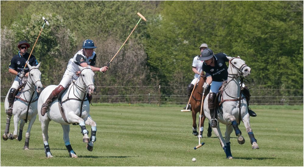 Mal wieder beim Polo