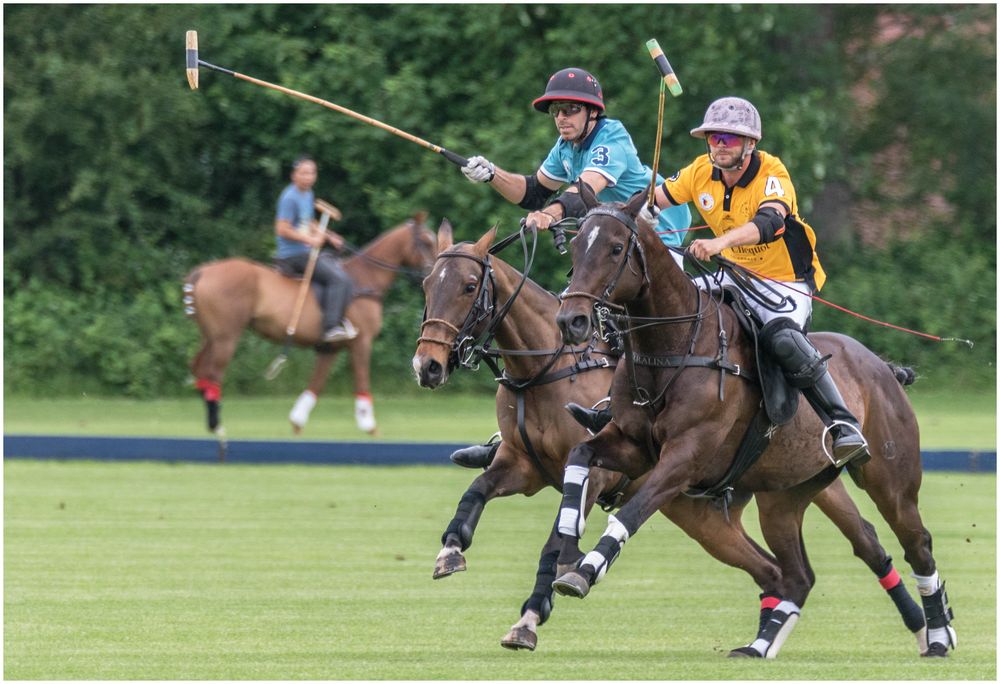 mal wieder beim Polo