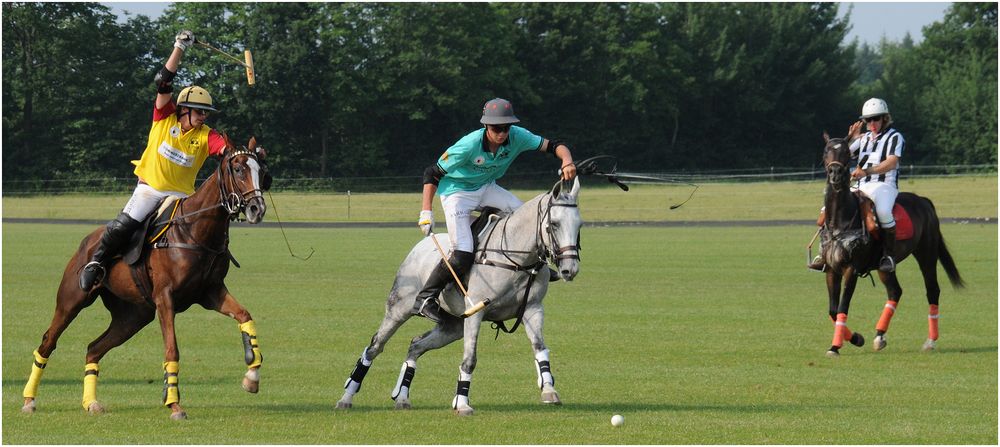 mal wieder beim Polo