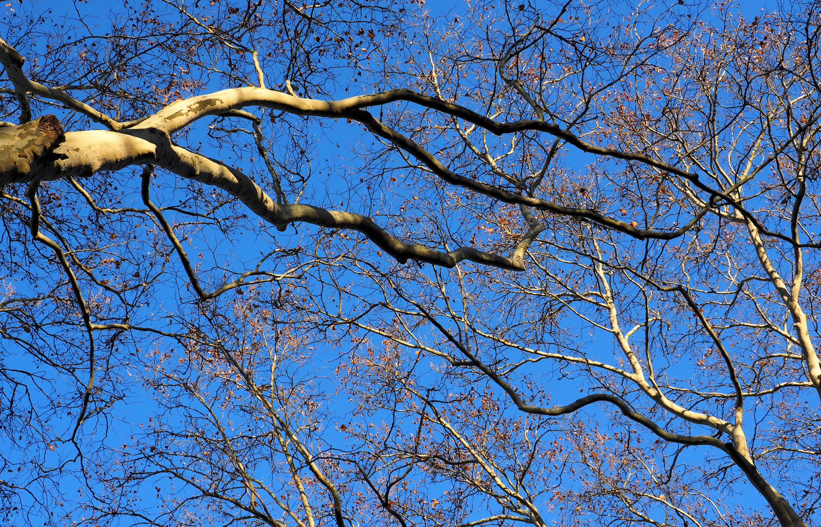 Mal wieder blauer Himmel :) ...