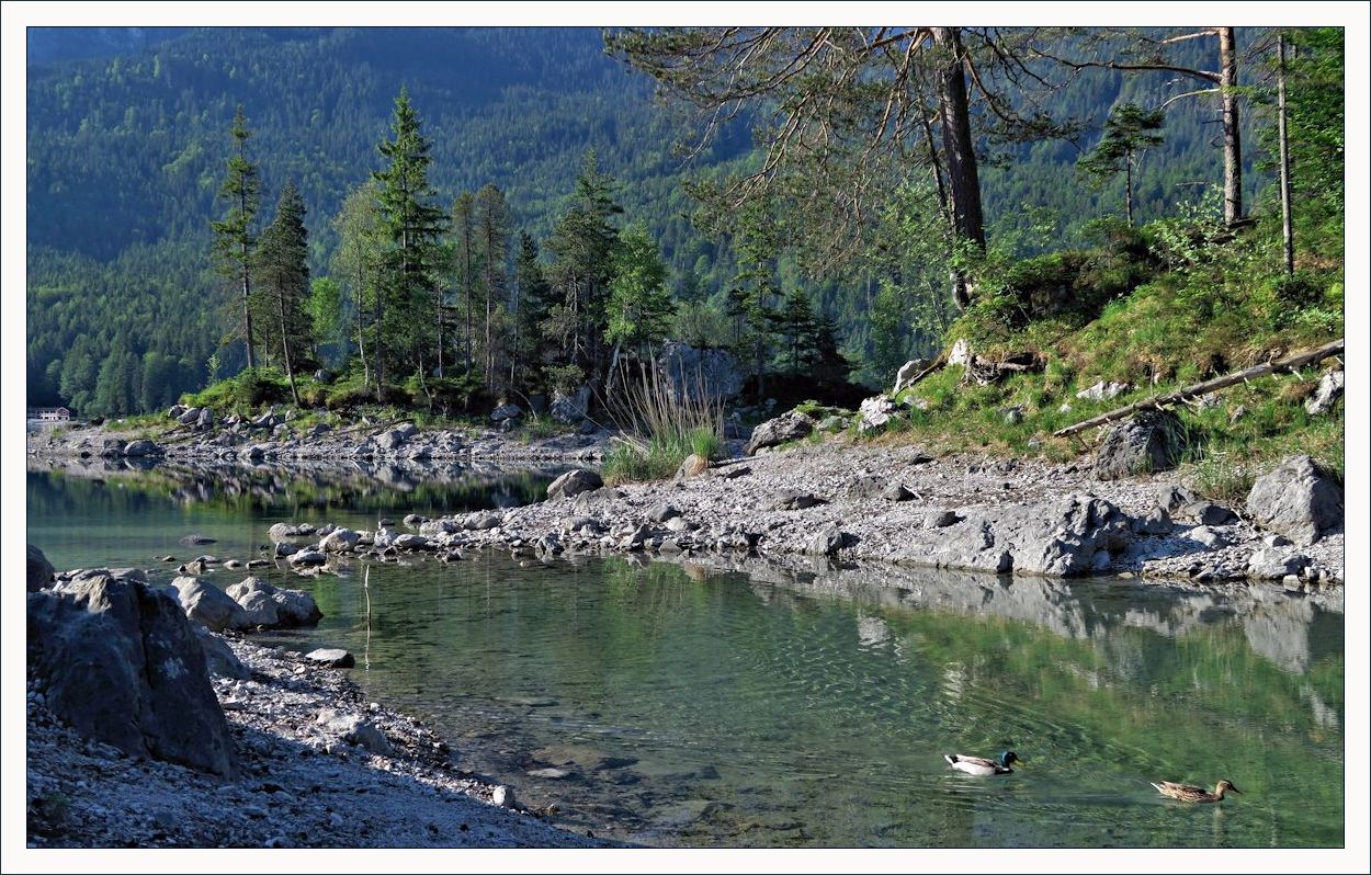 Mal wieder Eibsee...