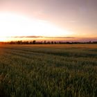 mal wieder eine Landschaft