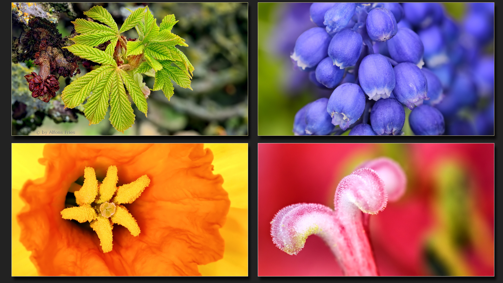 Mal wieder im Botanischen Garten geknipst.