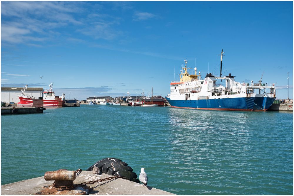 Mal wieder im Hafen unterwegs