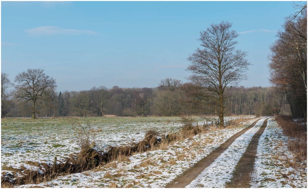 mal wieder im Himmelmoor