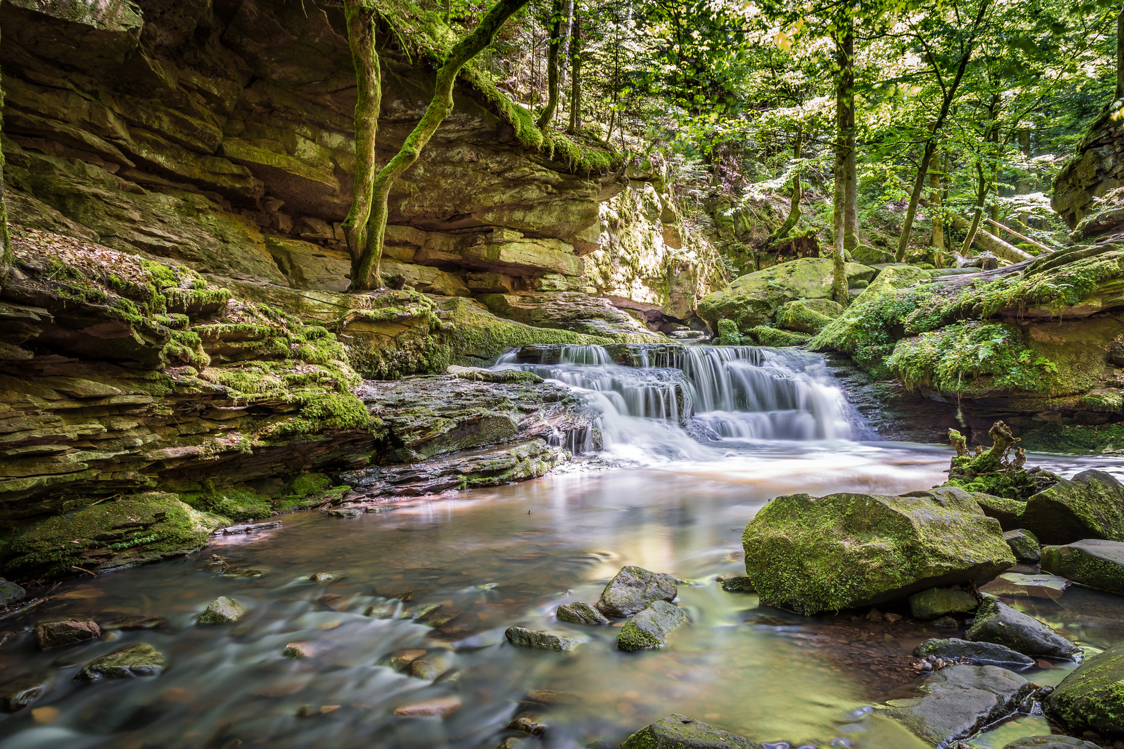 Mal wieder im Monbachtal