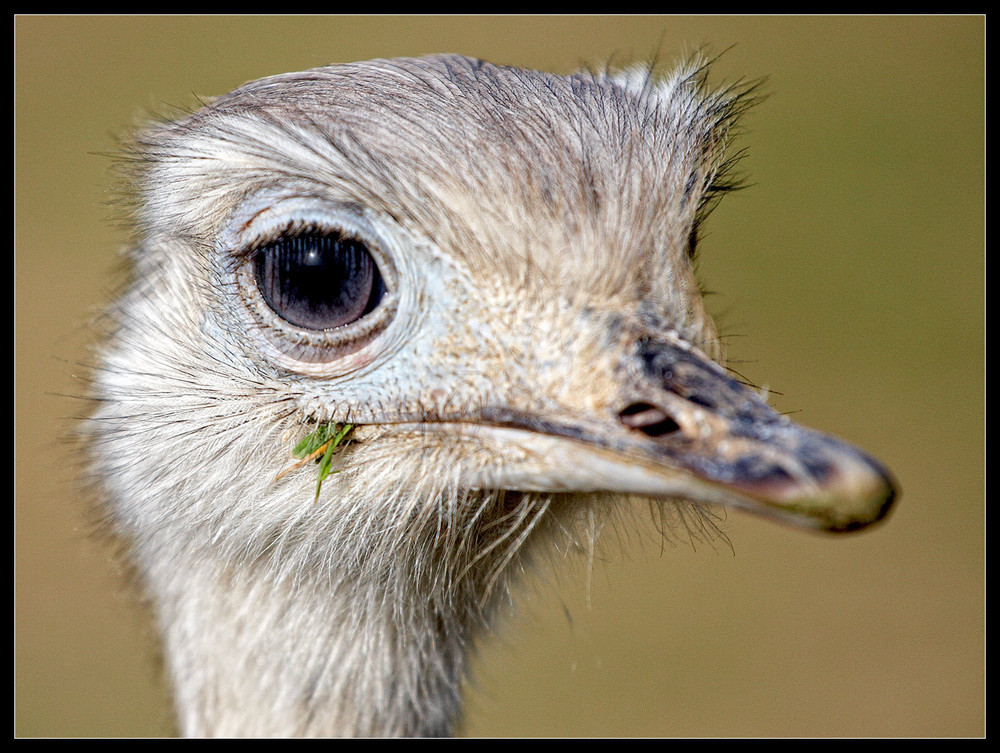 Mal wieder im Tierpark......