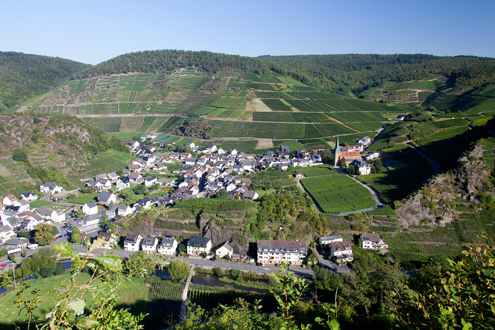 Mal wieder in -Mayschoß-