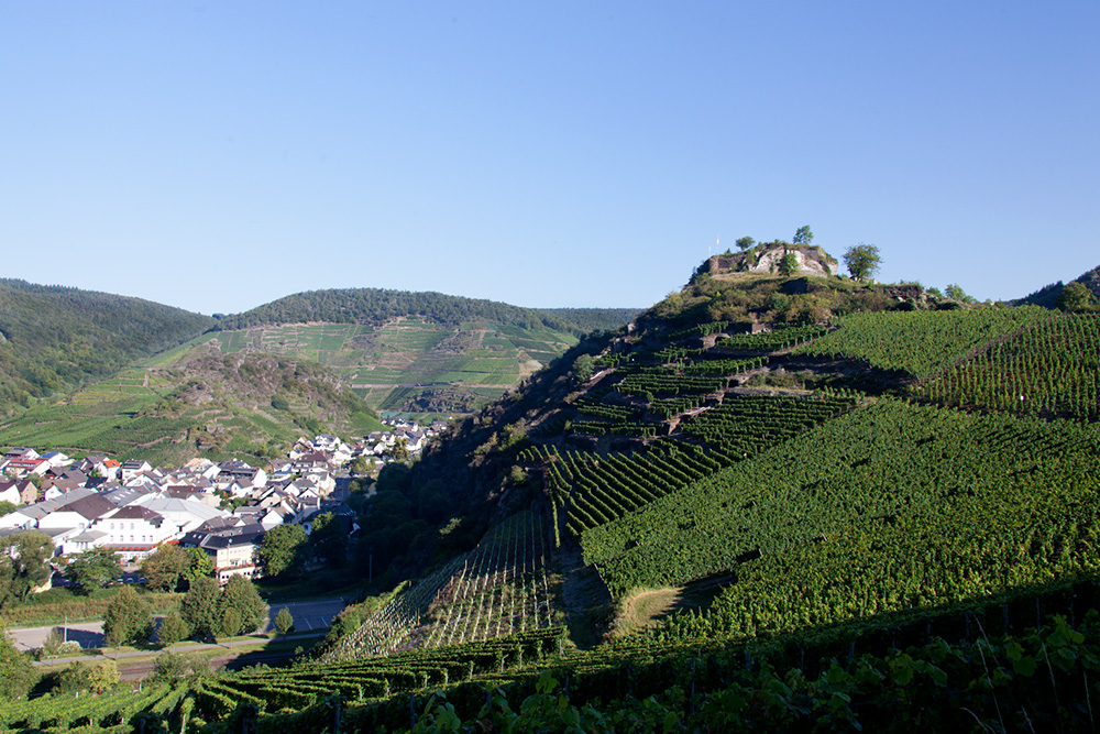 Mal wieder in Mayschoß